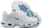 Nike Air Max TN 8909-394